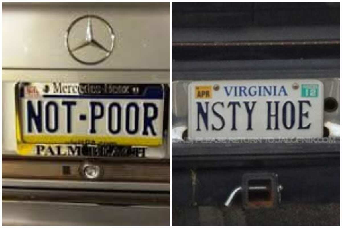 20 funny license plate ideas you will probably see on the road 