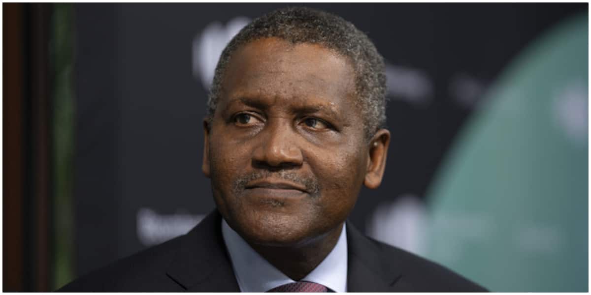 4 interesting new facts about Dangote as he leads Africa's richest list for the 11th year in a row