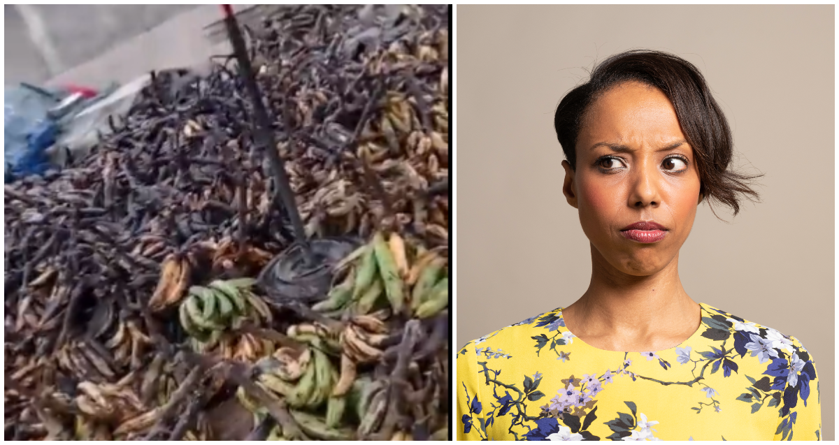 Thousands of plantains left rotten in market due to overpricing gets many talking online