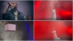 Davido makes grand entry in a huge cage at O2 arena concert, Isreal DMW opens the show with chants, rings bell