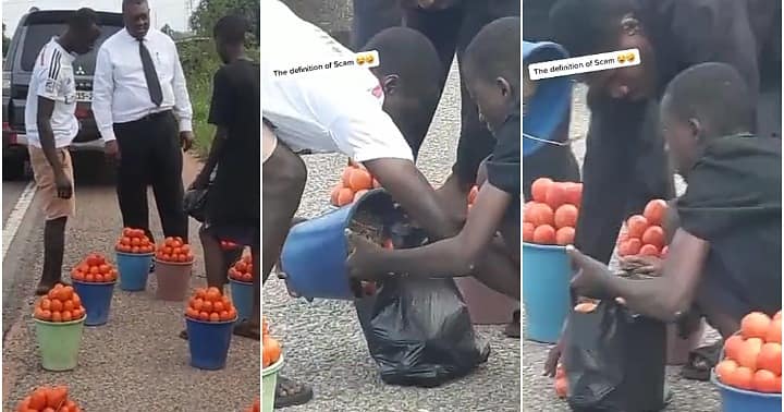 "Definition of scam": Lady exposes trick of roadside tomato sellers who allegedly cheat unsuspecting customers, video goes viral