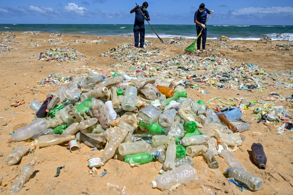 Some fear confusion over biodegradable plastics could lead to littering