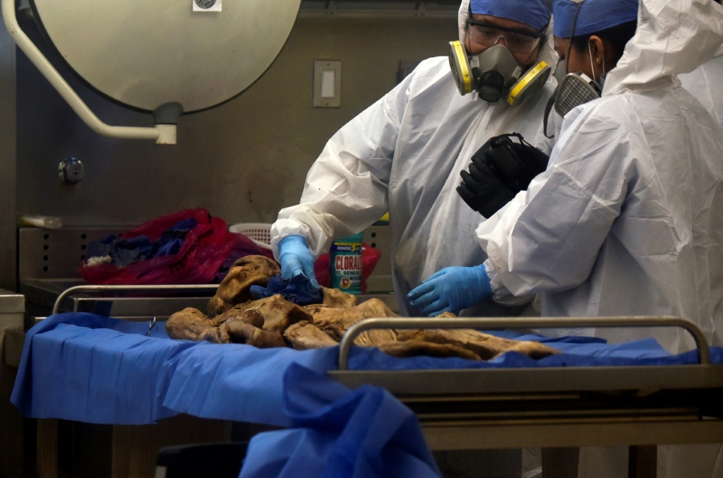 Forensic workers take samples from a human skeleton for DNA studies in southern Mexico