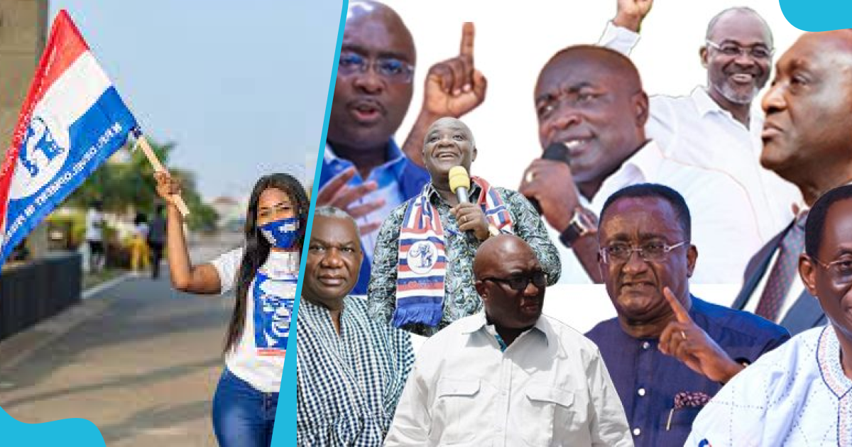 Composition of NPP Super Delegates voting on August 26 drops, Kufuor and Akufo-Addo included