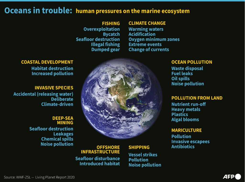 Currently, less than 10 percent of global oceans are protected