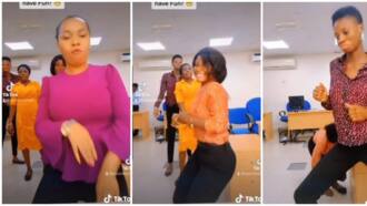 Beautiful female bankers shake the internet with Buga dance challenge in the office, video wows many