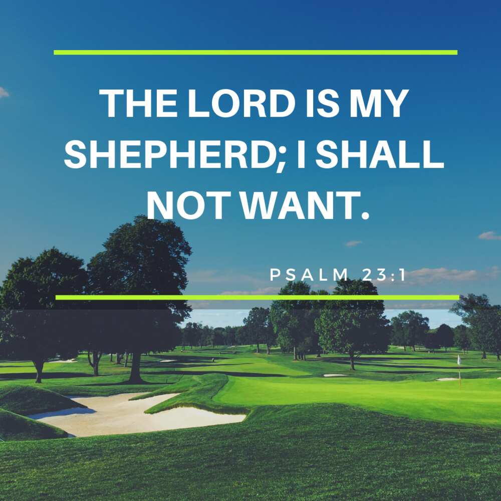 The Lord is my Shepherd