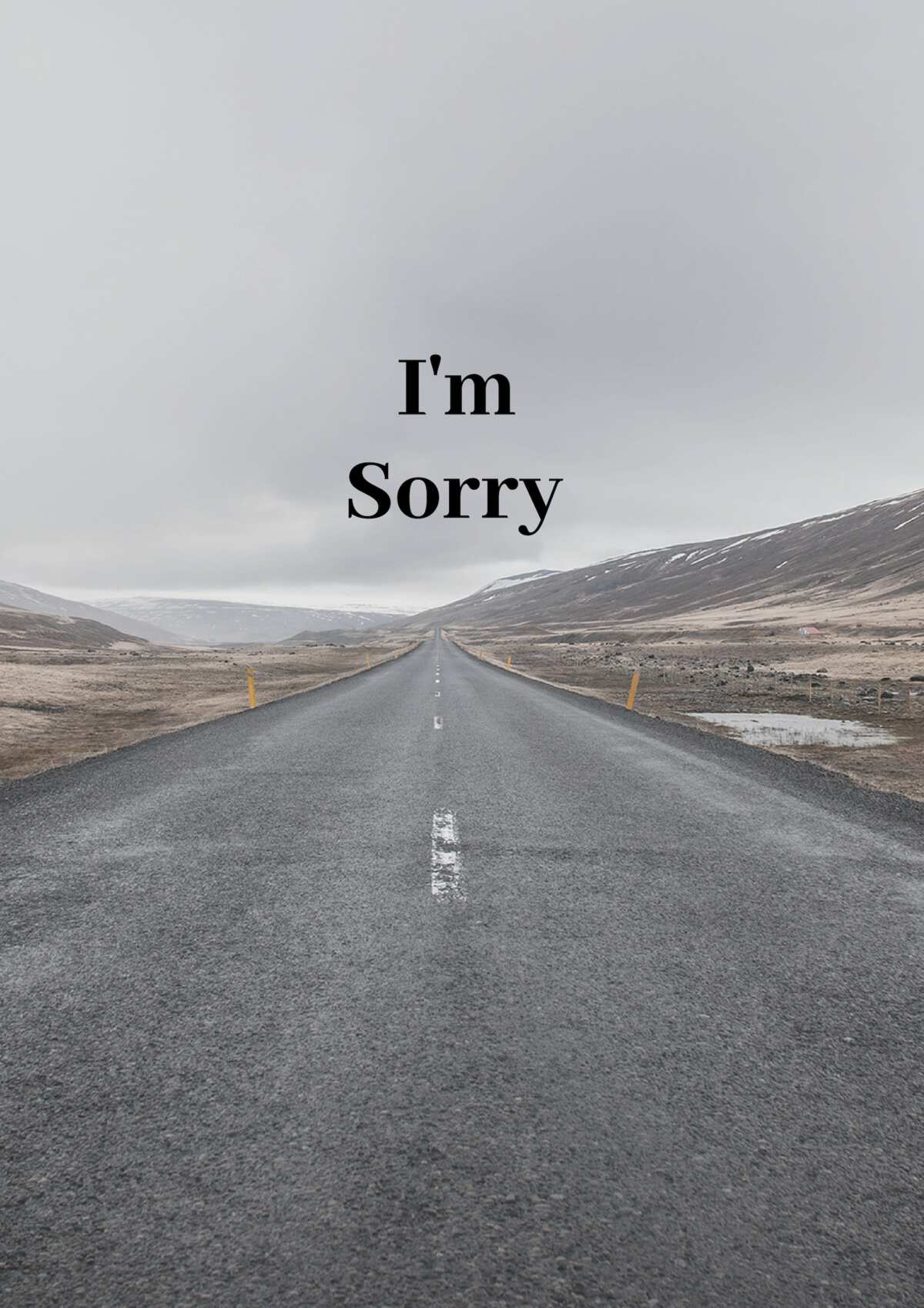 sorry quotes for best friend