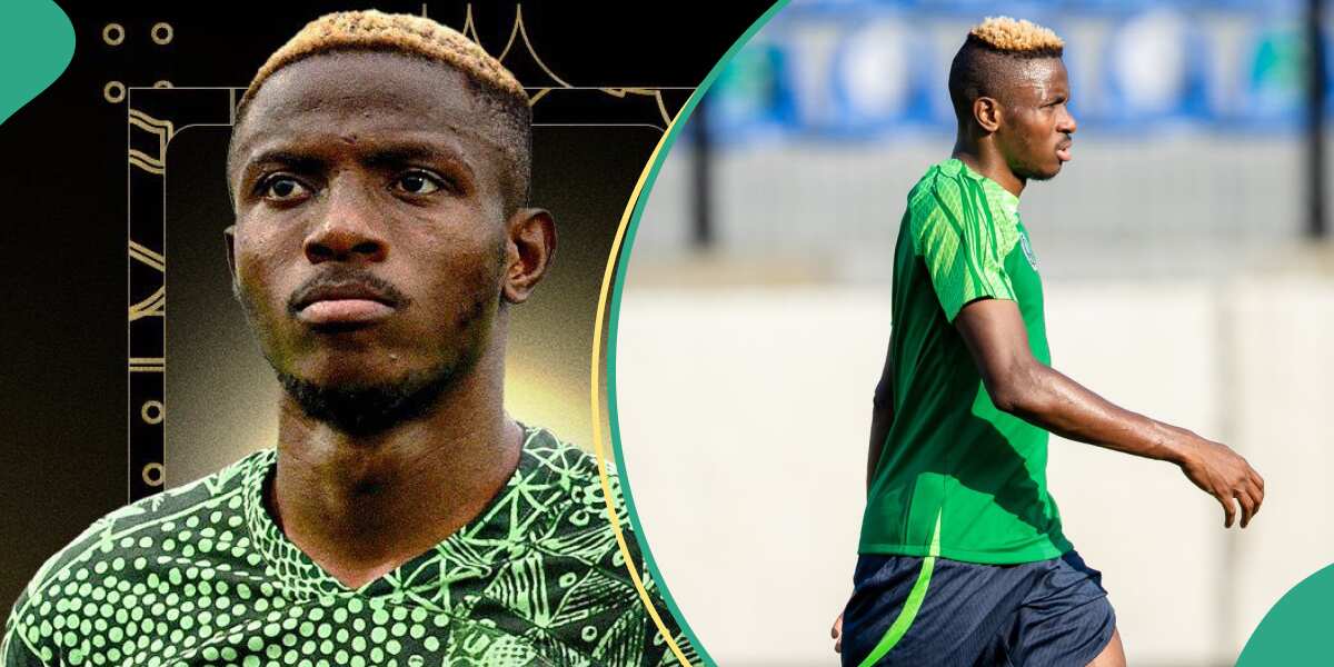 AFCON 2023's best 11 players: Osimhen missing as CAF releases team of the tournament, Nigerians agitated