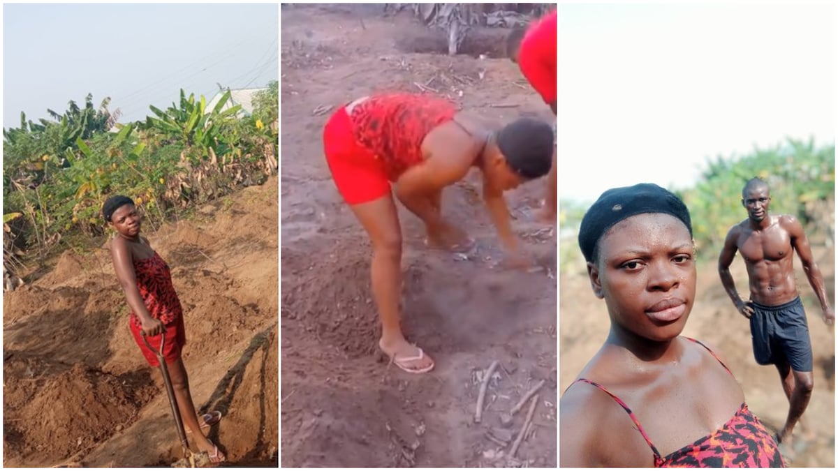 Valentine Day's in the farm: Young Nigerian couple tend to crops, their photos, videos stir reactions