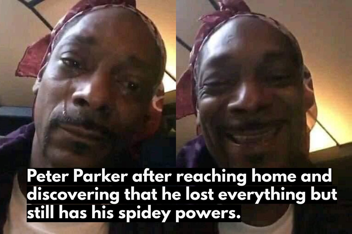 Spider-Man memes