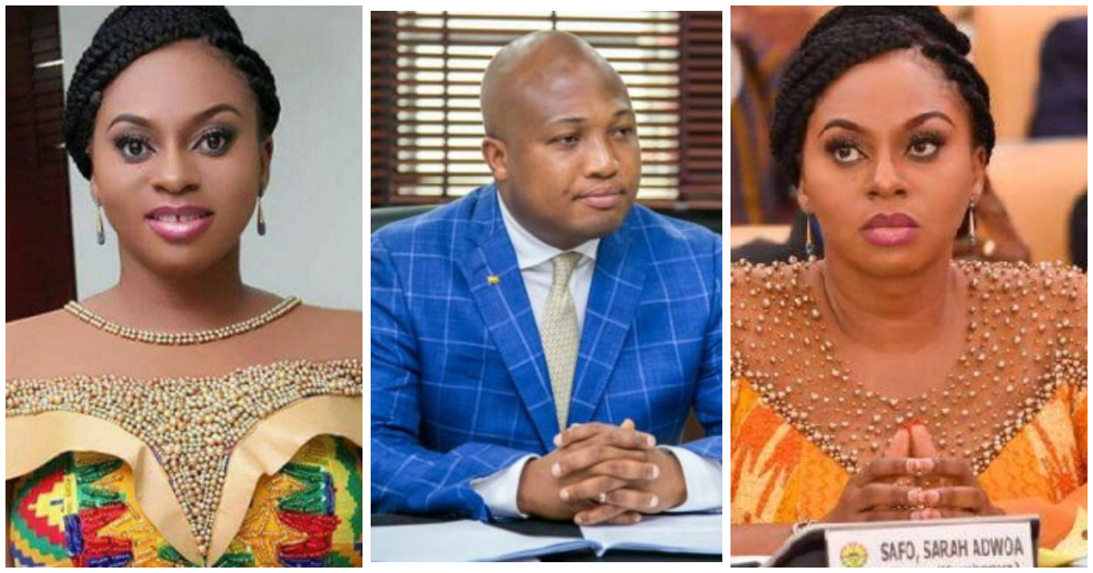 Government allegedly spent GH¢948,500 to fly Adwoa Safo to Ghana for E-Levy vote, Ablakwa drops details