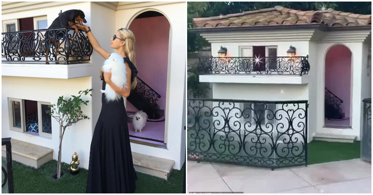 Paris Hilton builds a dog mansion for her dogs