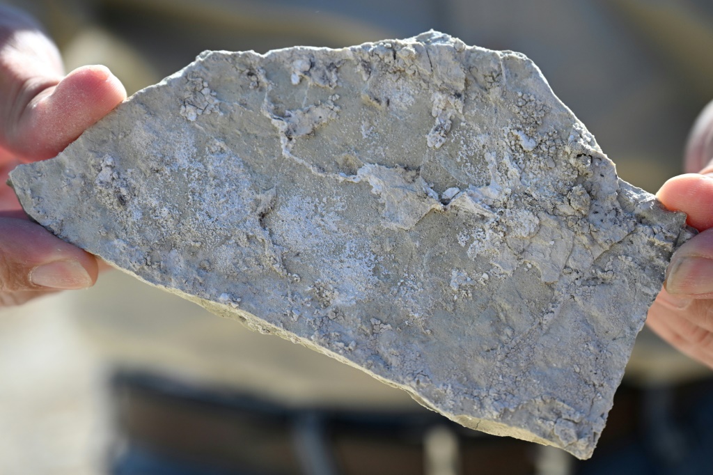 A piece of searlesite, a rock that contains both lithium and boron
