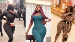 Princess Shyngle rejects Google's $400k net worth estimate; lists cars and other assets