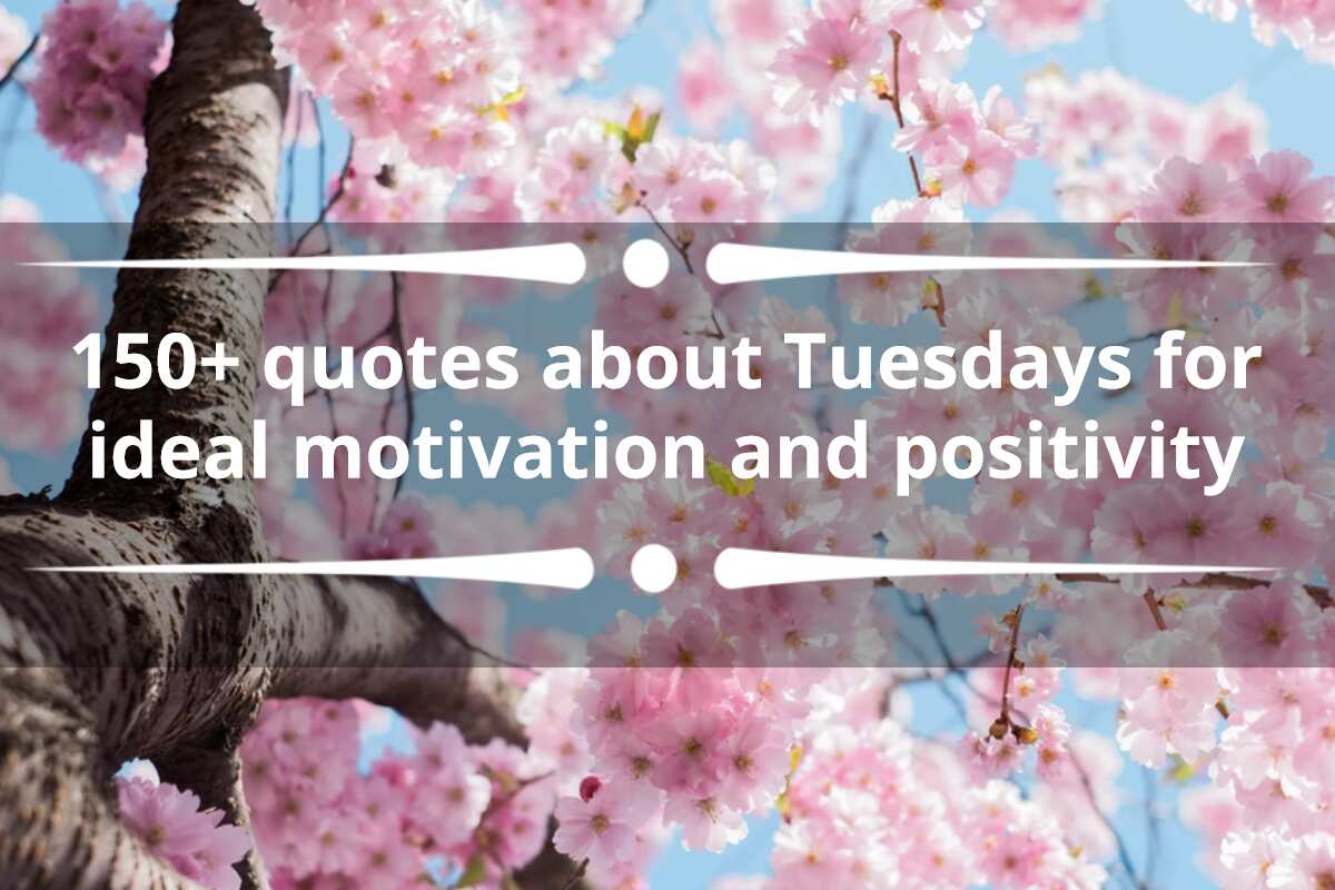150 Best Tuesday Morning Inspirational Quotes for Positivity
