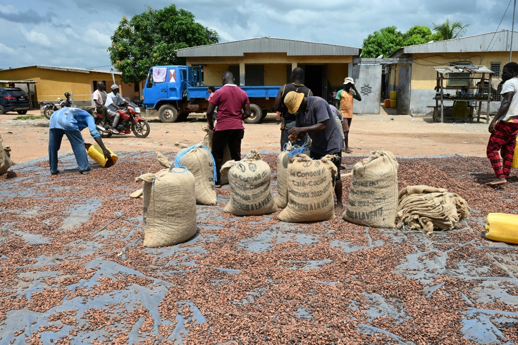 The World Bank says the commodity provides income for around one in five Ivorians