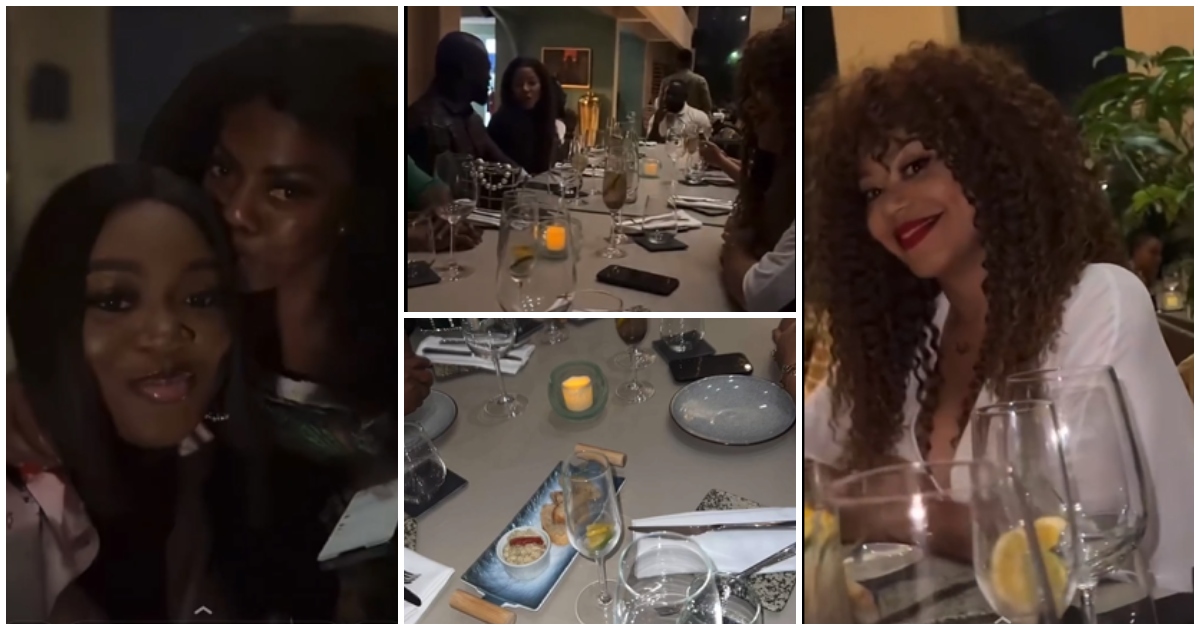Jackie Appiah: Pretty Actress Has Dinner With Nana Aba, Nadia Buari, Serwaa Amihere And Other Celebs In Video