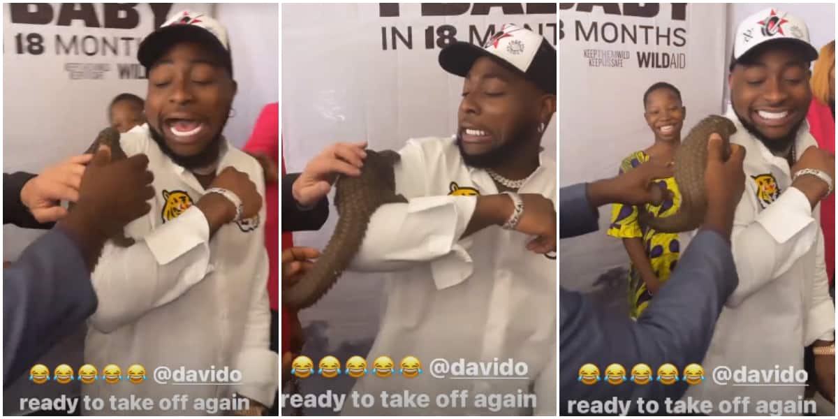 Davido screams in fear, nearly ‘picks race’ after animal is placed on his shoulder for photo
