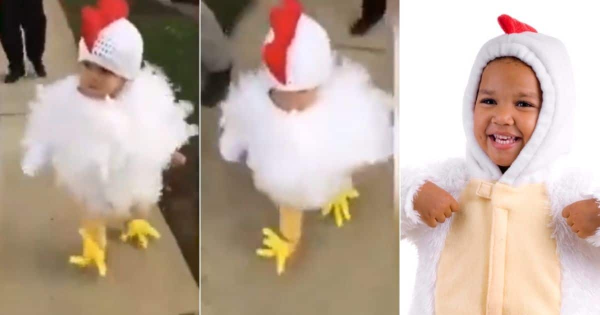 baby chicken costume diy