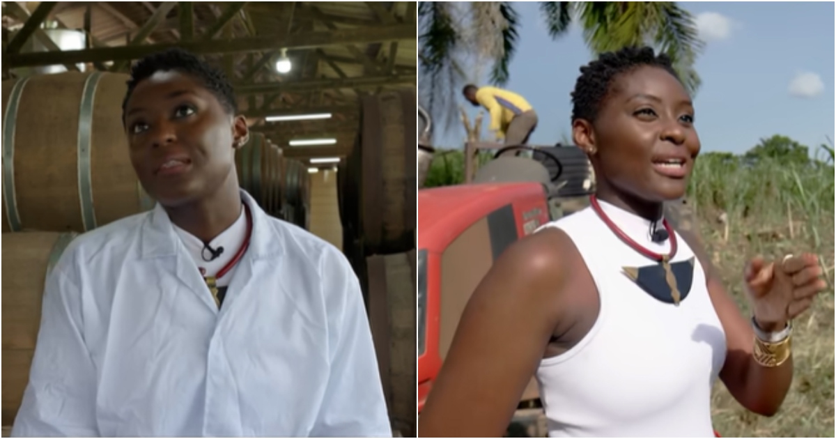 Amma Mensah: Young lady who left the UK to set up a distillery company in Ghana urges diaspora to return, video inspires hope