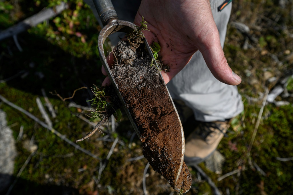 A plethora of experiments are being carried out across Canada to better understand the tree litter and predict its future role in reducing greenhouse gas levels