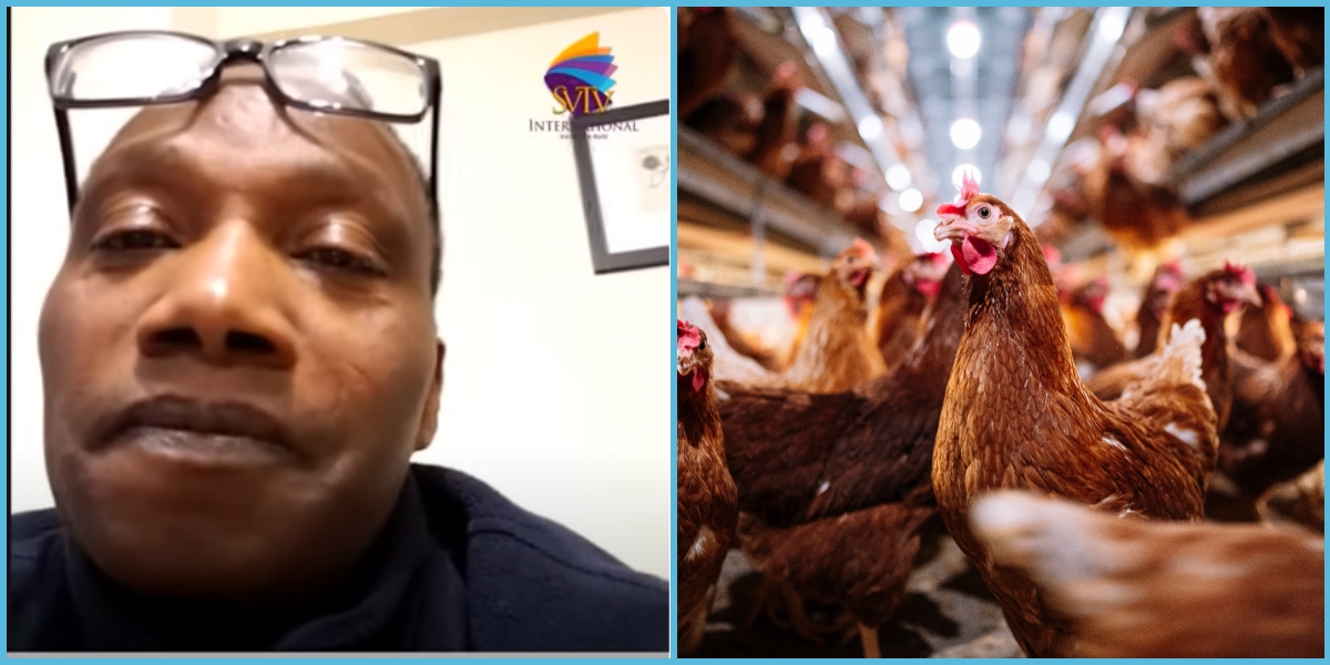 UK-based Ghanaian recounts why he closed down his poultry farm: “Employee was more church-focused”