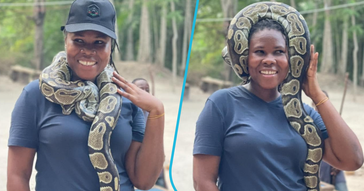 Lady spotted with snake wrapped around her neck, photos trigger reactions: “I'd faint”