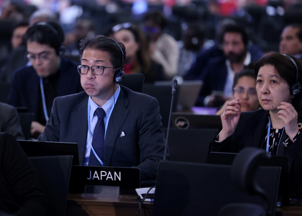 Delegates at the closing session of the COP27 climate conference, on November 20, 2022