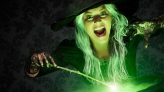 80+ best female wizard names that are cool for your fantasy world