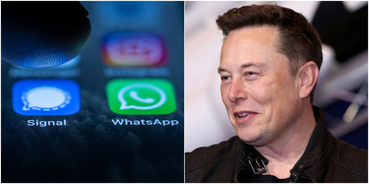 Uncertainties for WhatsApp as app gets rival endorsed by world richest Elon Musk