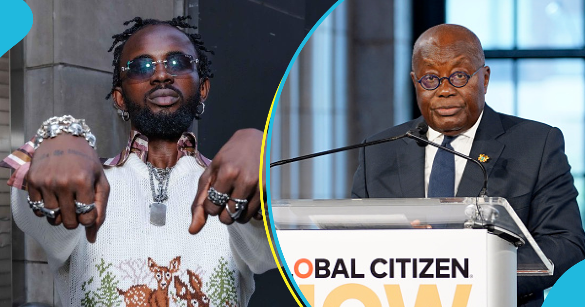 Black Sherif calls out Akufo-Addo on Twitter for asking for a huge sum of money from the UN