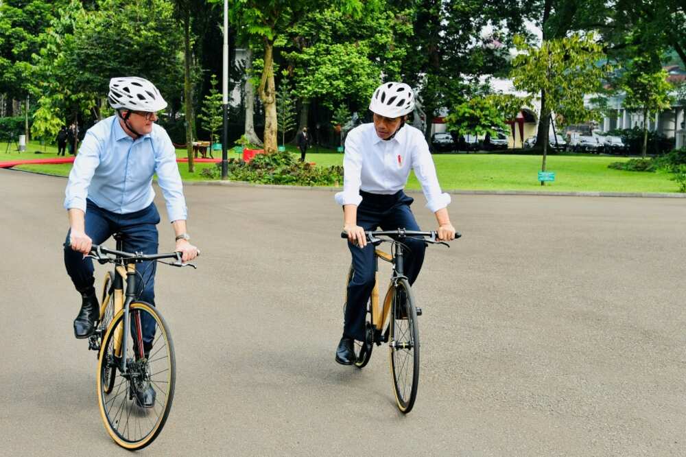 Indonesian President Joko Widodo (R) presented new  Australian Prime Minister Anthony Albanese with a bamboo bike